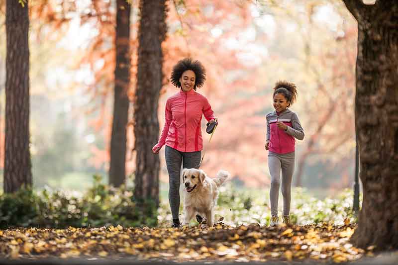 pet friendly city nashville