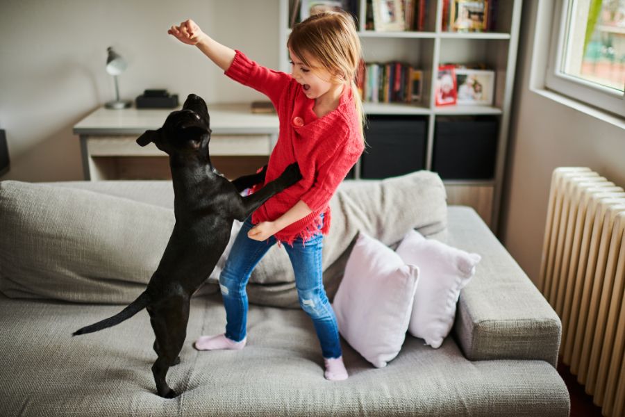 dog and child on couch