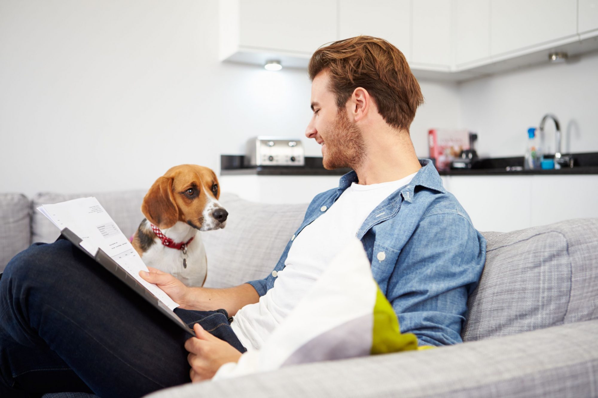 Understanding pet insurance.